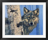 Framed Birch Wolf