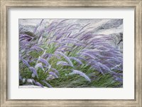Framed Purple Wild Grass II