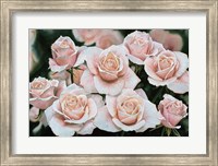 Framed Rose Bouquet