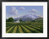 Framed Mount Sta Helena - Napa Valley