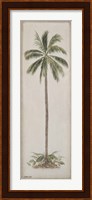Framed Single Palm tree