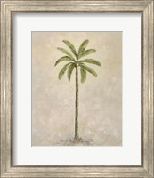 Framed 'Palm Tree 2' border=