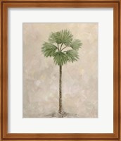 Framed 'Palm Tree 3' border=