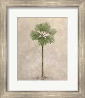 Framed 'Palm Tree 3' border=