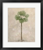 Framed 'Palm Tree 3' border=