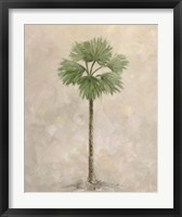 Framed 'Palm Tree 3' border=