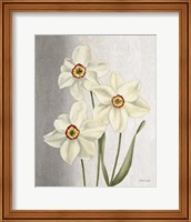 Framed 'Spring Narcissus' border=