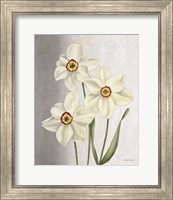 Framed 'Spring Narcissus' border=