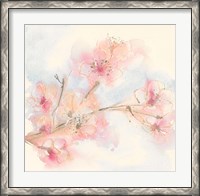 Framed Pink Blossoms II