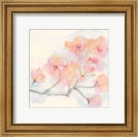Framed Pink Blossoms III