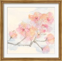 Framed Pink Blossoms III