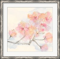 Framed Pink Blossoms III