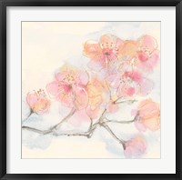 Framed Pink Blossoms III