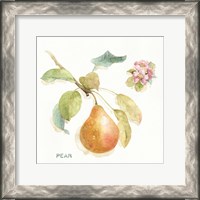 Framed Orchard Bloom II