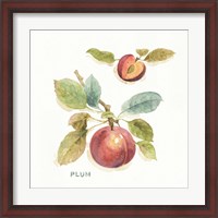Framed Orchard Bloom IV