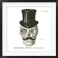 Dandy Bones I Framed Print