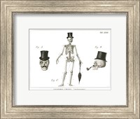 Framed Dandy Bones