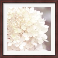 Framed Hydrangea Dream I