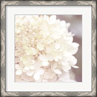 Framed Hydrangea Dream I