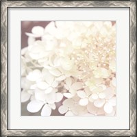 Framed Hydrangea Dream II