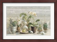 Framed Greenhouse Orchids on Wood