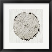 Woodland Years II Framed Print