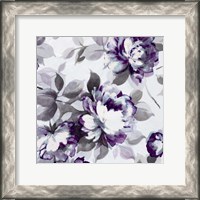 Framed Scent of Roses Plum II