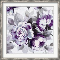 Framed Scent of Roses Plum III