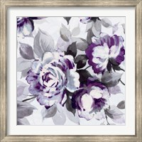 Framed Scent of Roses Plum III