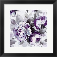 Scent of Roses Plum III Framed Print