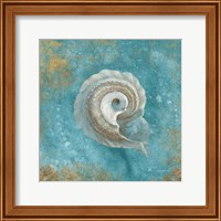 Framed 'Treasures from the Sea III Aqua' border=