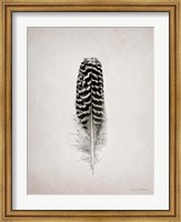 Framed Feather I BW