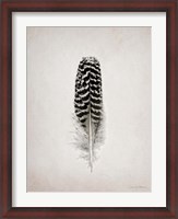 Framed Feather I BW