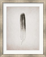 Framed Feather II BW