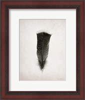 Framed Feather III BW