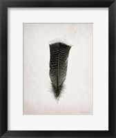 Feather III BW Framed Print