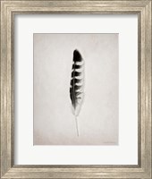 Framed Feather IV BW