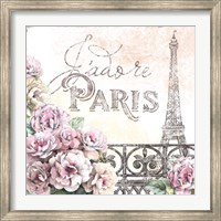 Framed Paris Roses III