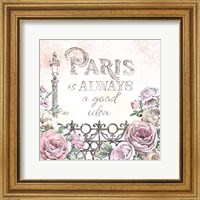 Framed Paris Roses IV