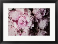 Framed Peonies Galore I