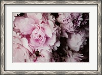 Framed Peonies Galore I