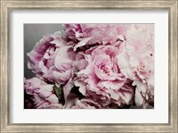 Framed Peonies Galore II