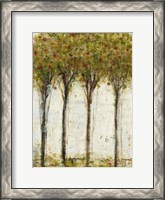 Framed Apple Orchard I