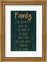 Framed Spice Family Rules III