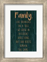 Framed Spice Family Rules III