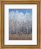 Framed Cobalt Birches I