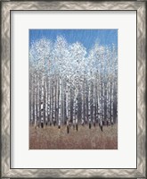 Framed Cobalt Birches I