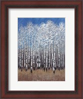 Framed Cobalt Birches II