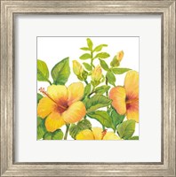 Framed Watercolor Hibiscus I