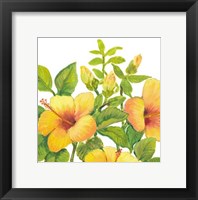 Framed Watercolor Hibiscus I